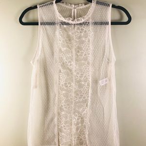 Express Lace Sheer Top Size: S
